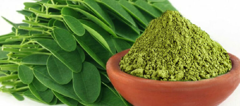 Moringa: Η «πράσινη» σούπερ τροφή!