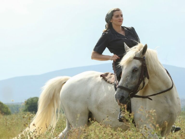 ΑΓΡΙΕΣ ΜΕΛΙΣΣΕΣ – Εξελίξεις: Όλα όσα θα δούμε στα επόμενα επεισόδια