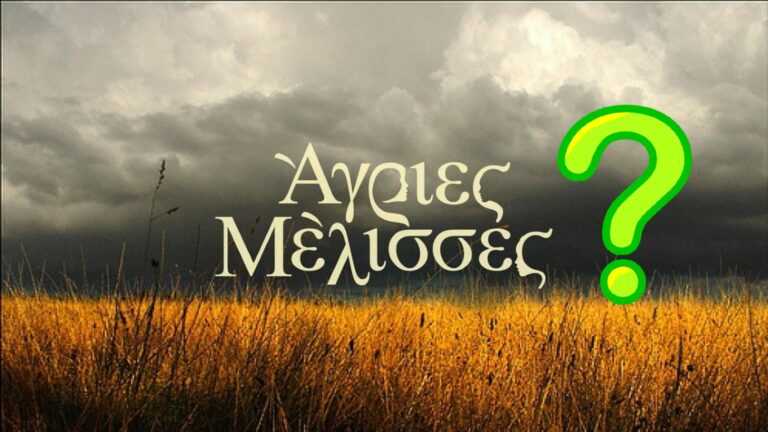 Άγριες Μέλισσες: Πότε επιστρέφουν στη μικρή οθόνη