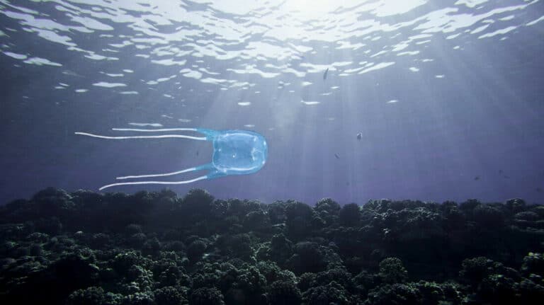 Αυτά είναι τα πιο φονικά ζώα του πλανήτη