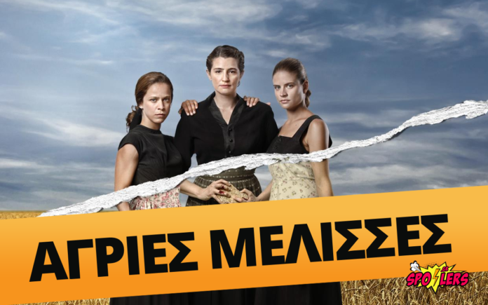 AGRIES-MELISSES