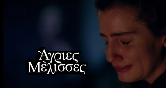 diavaseto Agries Melisses Eleni exelixeis