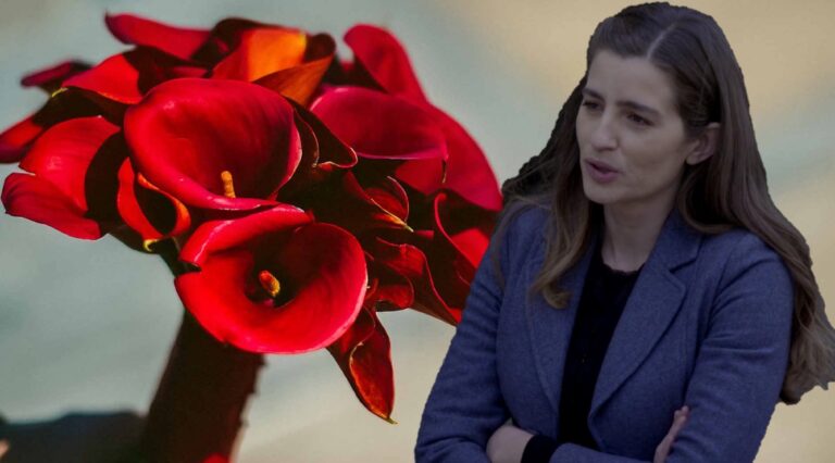 Άγριες Μέλισσες: Η μία και μοναδική φωτό από το σπίτι της Λενιώς! Είναι υπέροχο!