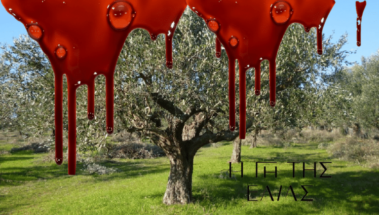 Η Γη της Ελιάς spoiler: Εκτός εαυτού ο Δημήτρης! Η δολοφονία και το σοκ της Χάιδως