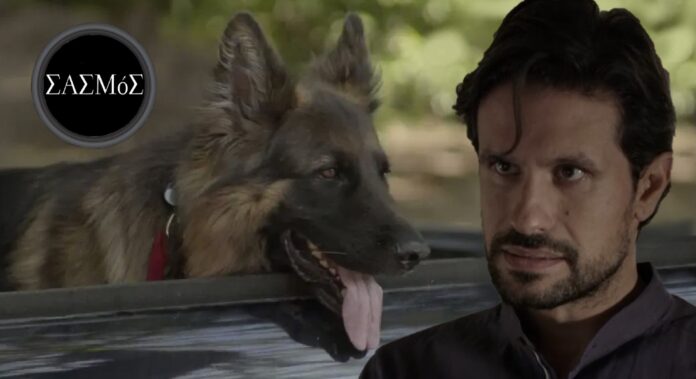 Diavaseto.gr asteris mantarina sasmos