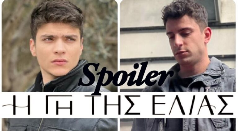 H Γη της Ελιάς: «Πρέπει να ζητήσετε τη βοήθεια ενός ειδικού»