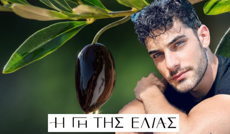 Η Γη της Ελιάς: Ο Λεωνίδας γίνεται αφεντικό – Η Άννα σαστίζει