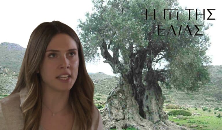 Η Γη της Ελιάς: Η Μυρτάλη βγάζει νύχια – Έξαλλοι στο ελαιοτριβείο