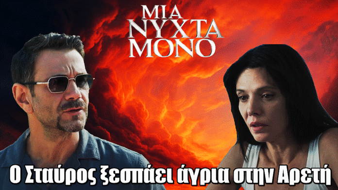 Μια Νύχτα Μόνο: Ο Σταύρος χάνει τον έλεγχο και συγκρούεται άγρια με την Αρετή