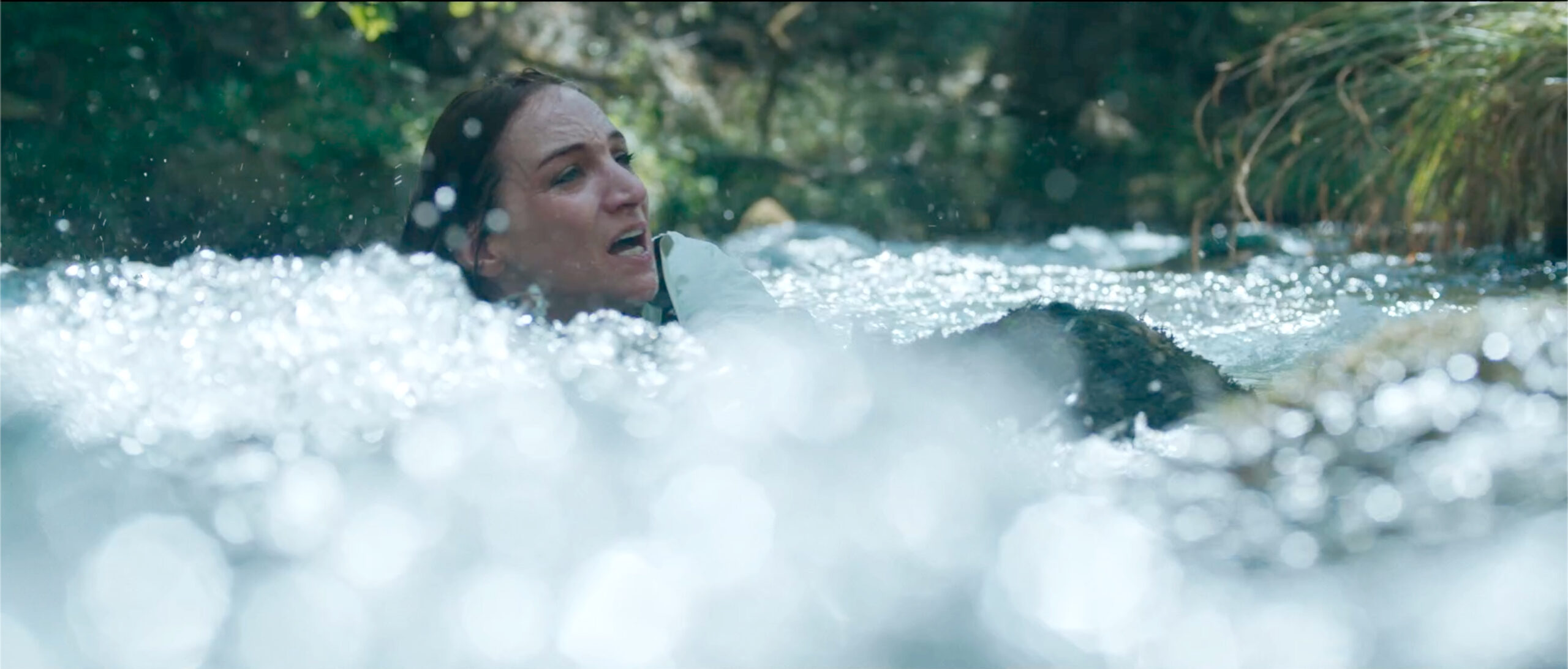 Screenshot - DIAVASETO.GR