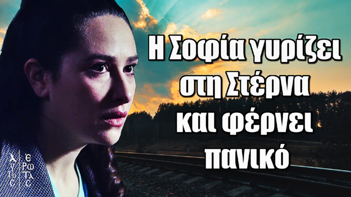 Diavasetogr 2573 Άγιος Έρωτας: Η Σοφία γυρίζει στη Στέρνα και φέρνει πανικό